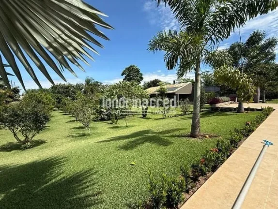 Imagem Sobrado de alto padrão em Cambé: 3 suítes, piscina aquecida, casa de visitas, pomar, energia solar e 3.000m² de terreno amplo