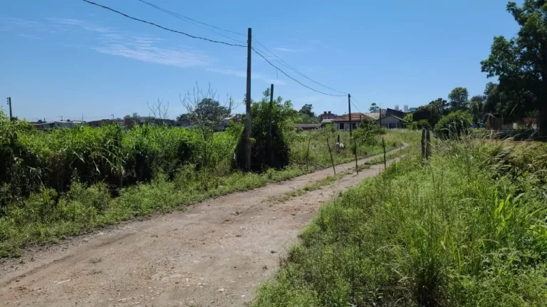 Imagem Área à venda, 15000 m² por R$ 4.530.000,00 - Caxangá - Suzano/SP