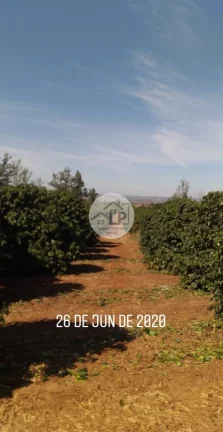 Imagem Fazenda de Café à Venda na Região do Alto Paranaíba - Minas Gerais