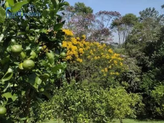 Imagem CHÁCARA À VENDA NO BAIRRO TATETOS - SÃO BERNARDO DO CAMPO - SP
