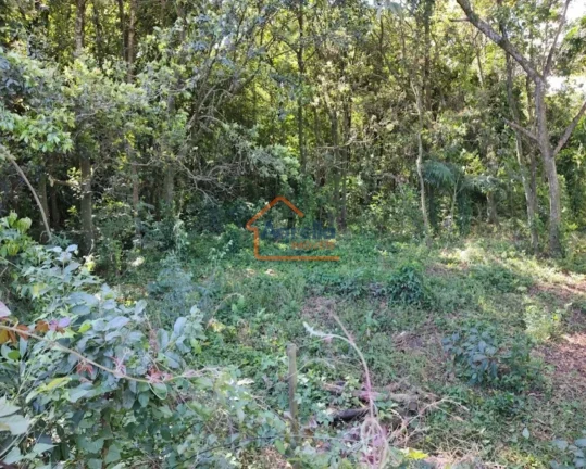 Imagem Sítio à venda no bairro CAPÃO DA TENDA - Mogi Mirim/SP