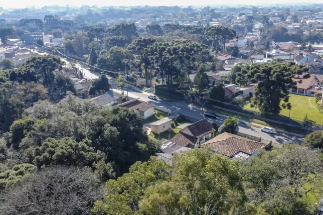 Imagem AREA EM SANTA FELICIDADE