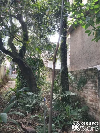 Imagem Terreno para Venda em Santo André / SP no bairro Vila Assunção