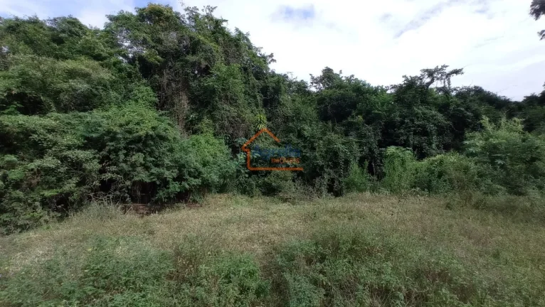 Imagem Sítio à venda no bairro Jardim Primavera - Mogi Mirim/SP