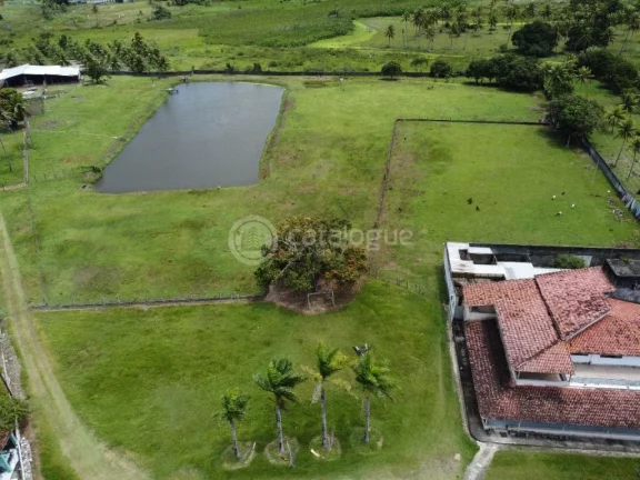 Imagem ÁREA Á VENDA EM NISIA FLORESTA