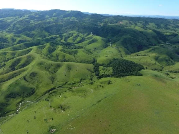 Imagem ÁREA À VENDA, 4000000 M² POR R$ 36.000.000 - PIEDADE - CAÇAPAVA/SP