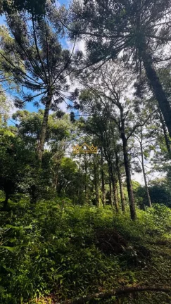 Imagem Terreno com 4 Dormitorio(s) localizado(a) no bairro Linha Imperial em Nova Petrópolis / RIO GRANDE DO SUL Ref.:1563