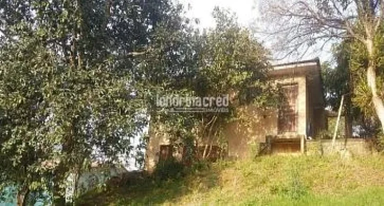 Imagem Terreno à venda 846M², Bom Jesus, São José dos Pinhais - PR