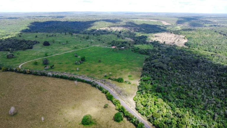 Imagem Fazenda à Venda, 7.140.000 m² em Zona Rural - Cardeal Da Silva