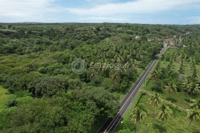 Imagem Área à Venda – Nísia Floresta / RN - 12,1 Ha