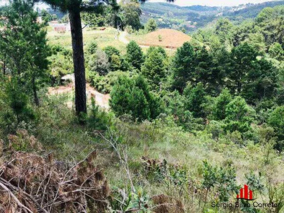 Imagem Terreno a Venda no Vale Encantado, Campos do Jordão - SP