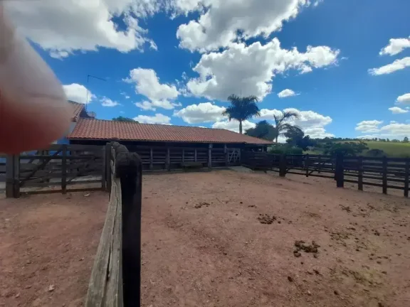 Imagem Fazenda à venda em Ibertioga, ZONA RURAL, 148ha