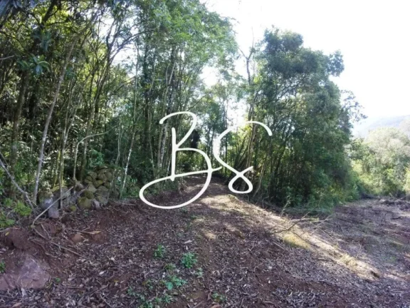 Imagem SITIO RURAL em NOVA PETRÓPOLIS - RS, Linha Pirajá Baixa