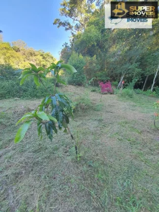 Imagem Chácara 3 hectares para Venda na BR em Cascata Pelotas-RS
