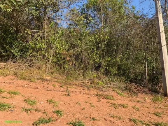 Imagem LOTE COM ÓTIMA TOPOGRAFIA,