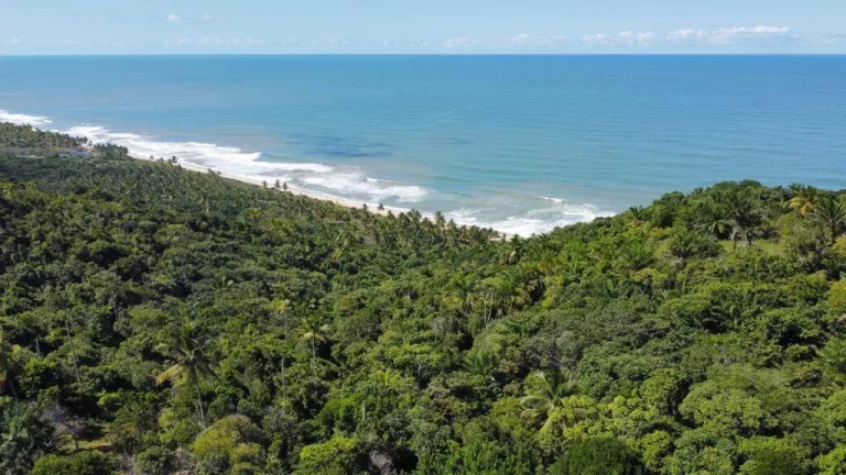 Imagem Paradisíaca Serra Grande