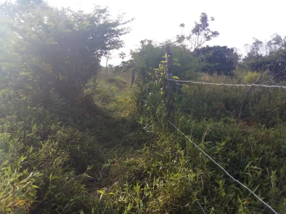 Imagem Terreno para Venda em Itanhaém, Aguapeú