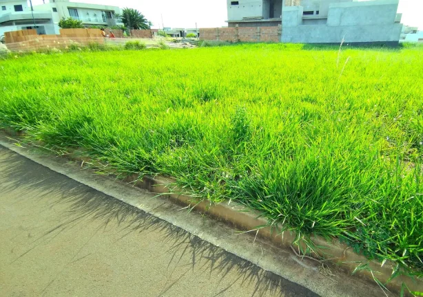 Imagem Terreno 300 m² - Condomínio Fazenda Itapema - Limeira - SP