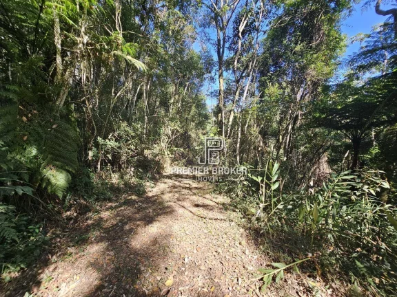 Imagem Área à venda, 120000 m² por R$ 1.000.000,00 - Ponte Nova - Teresópolis/RJ