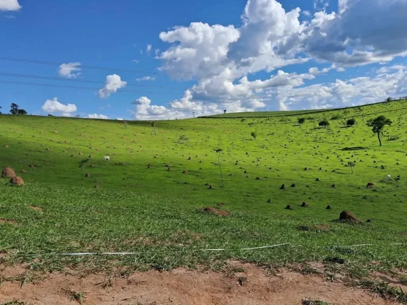 Imagem ???? OPORTUNIDADE ÚNICA: SEU LOTE DE 1.500M² POR R$ 70 MIL! ACEITA PARCELAMENTO! ????