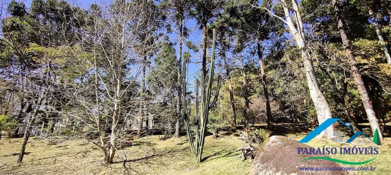 Imagem Chácara em Gonçalves: Tranquilidade e contato com a natureza!