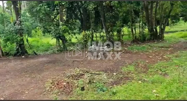 Imagem Chácara à Venda em Paranoá - DF250 - Fazenda Velha - 6,2 hectares - Escriturada e registrada.