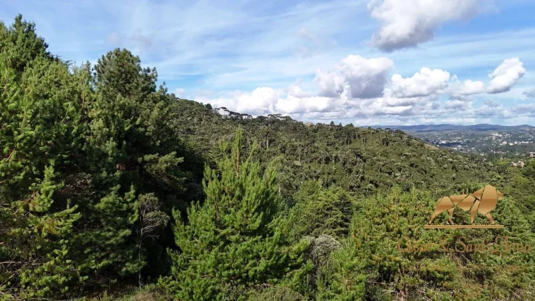 Imagem Terreno a venda em Campos do Jordão
