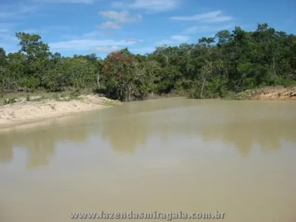 Imagem Fazenda para Venda por R$16.000.000,00 - Monte alegre, Goiania / GO - Cód. BDI24609