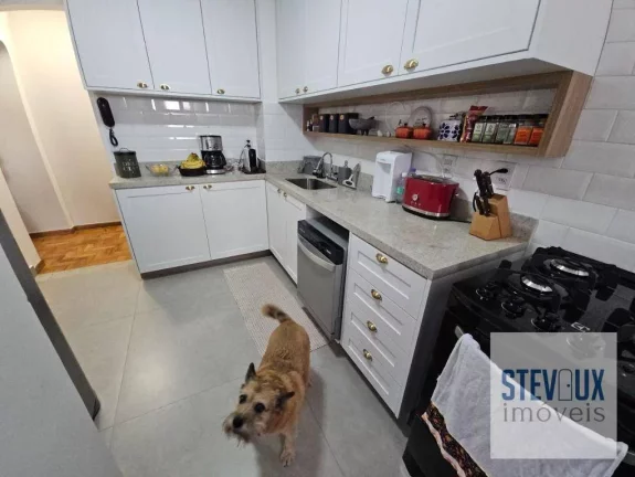 Imagem Apartamento em Moema Pássaros reformado para venda