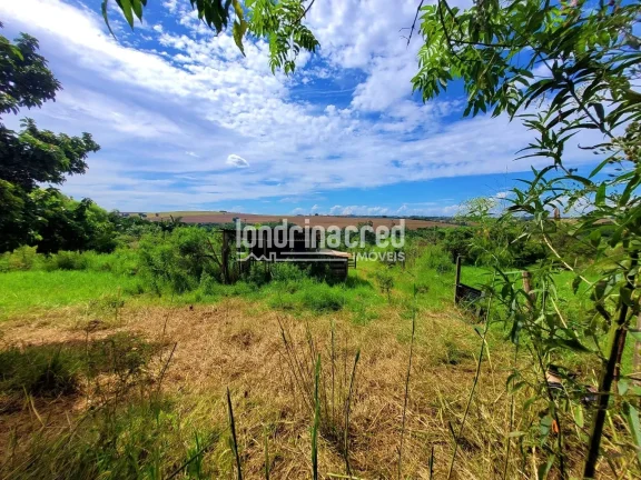 Imagem Chácara à venda 2 Quartos, 5600M², Dom Pedro I, Londrina - PR