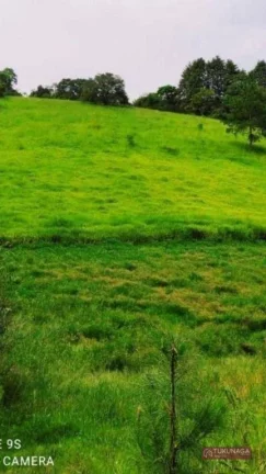 Imagem Terreno à venda, 19980 m² por R$ 2.000.000,00 - São Bento - Arujá/SP