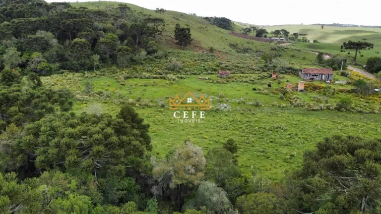 Imagem Chácara - Sítio com 2 Dormitorio(s) localizado(a) no bairro Eletra em São Francisco de Paula / RIO GRANDE DO SUL Ref.:1521