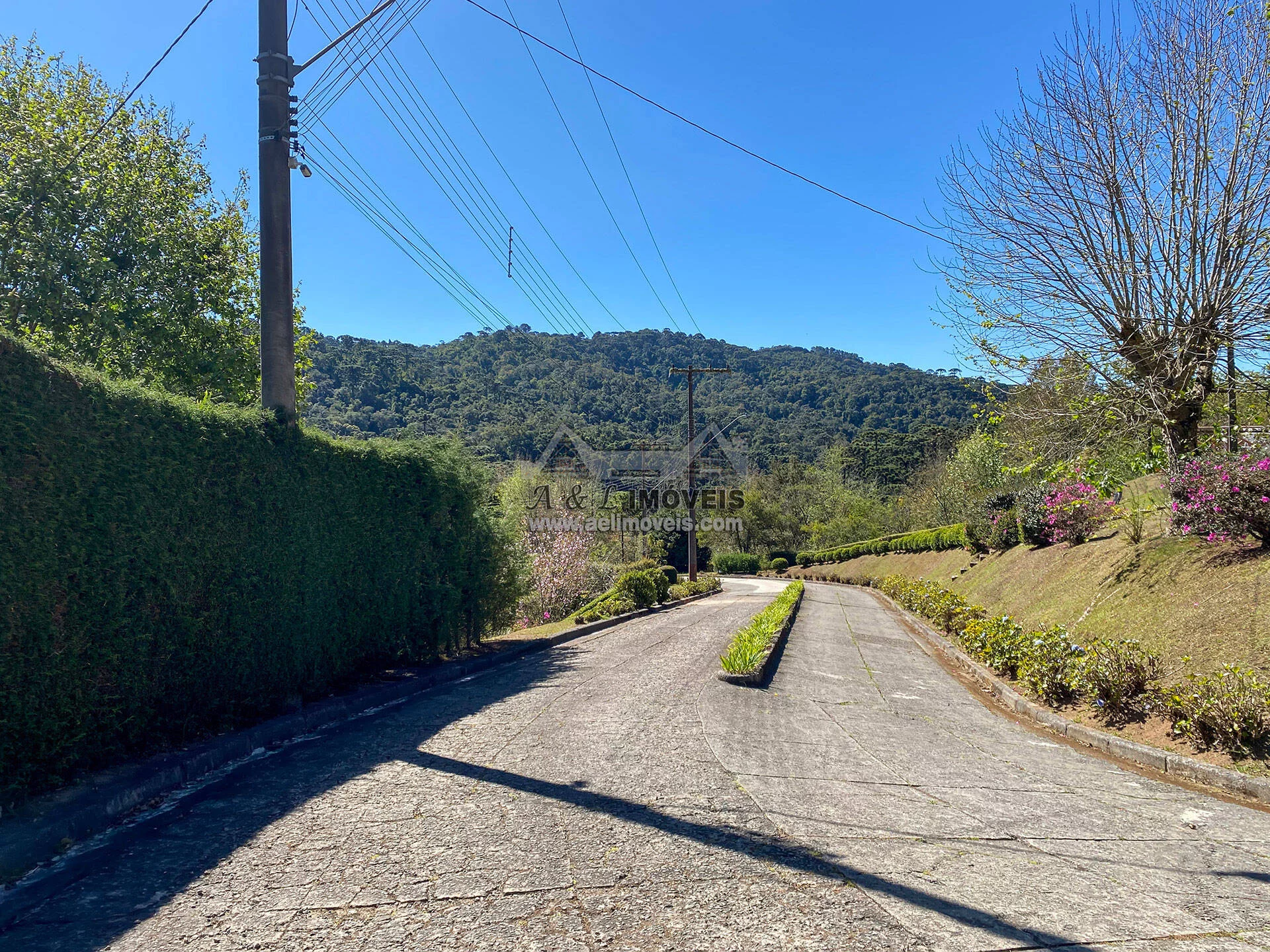 Imagem Casa à venda em Campos do Jordão - Chalé com 3 dormitórios