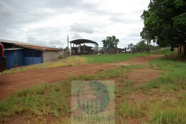 Imagem Fazenda 59 alqueires para soja, milho, gado em Cássia dos Coqueiros - SP . Temos autorização para venda.