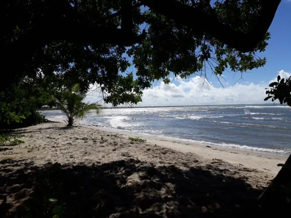 Imagem Oportunidade única: Área de Terra em Velha Boipeba, Cairu - confira!