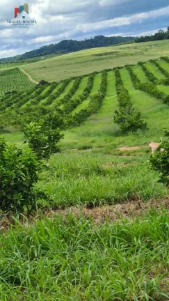Imagem Fazenda região de Araraquara SP