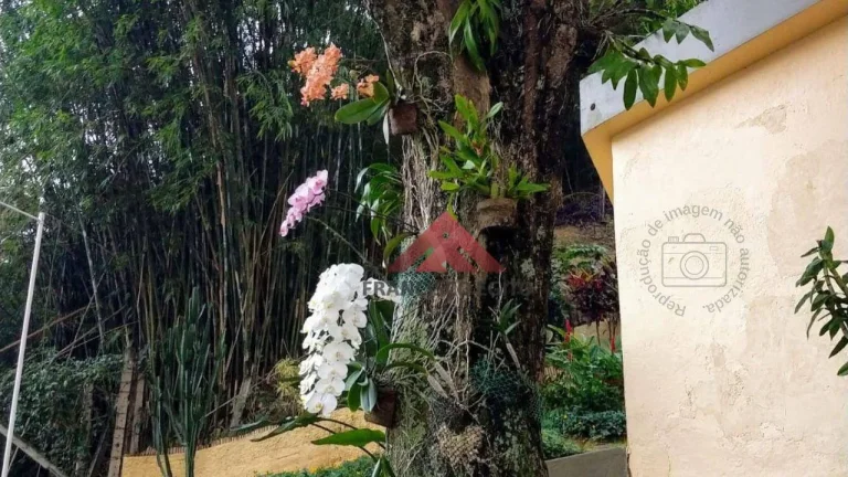 Imagem artamento em santa rosa com otima localização,vista para mata(verde)acorde com passaros cantando em sua janela.colado ao super mercado Real,a 800metro