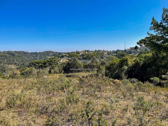 Imagem Terreno 5.268 m² no Alto da Boa Vista em Campos do Jordão com ZR3