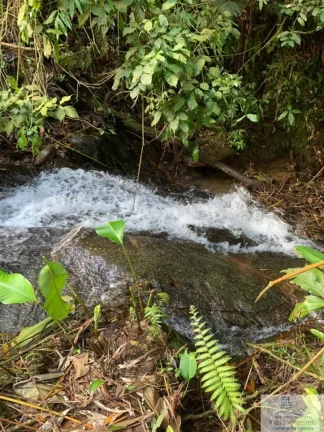 Imagem Rural - Chácara, para Venda em Rio dos Cedros/SC