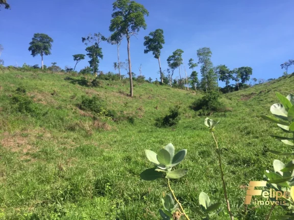 Imagem FAZENDA PRÓXIMO A COLATINA / REGIÃO NOROESTE
