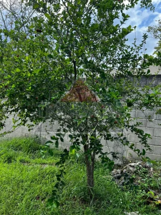 Imagem TERRENO RESIDENCIAL em RIO DE JANEIRO - RJ, RECREIO DOS BANDEIRANTES