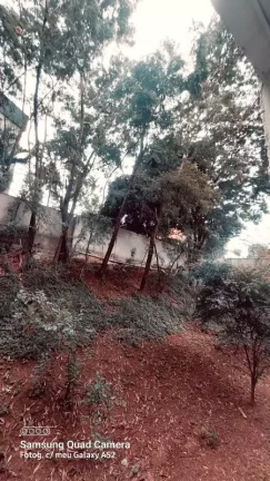 Imagem Apartamento à venda, 2 quartos, 1 vaga, SANTA AMÉLIA - Belo Horizonte/MG