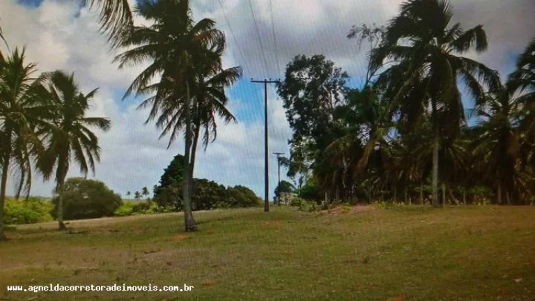 Imagem Fazenda para Venda em Extremoz, capim -extremoz, 3 dormitórios, 1 suíte, 2 banheiros, 6 vagas
