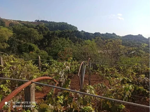 Imagem Sítio CONCÓRDIA - SC