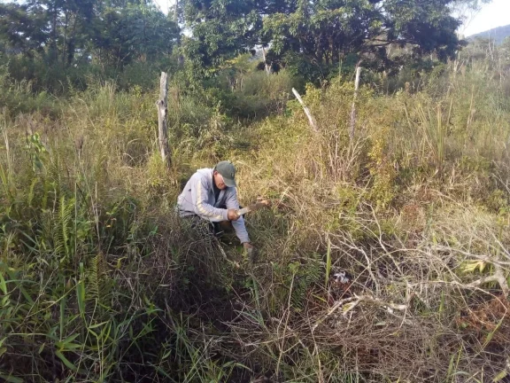 Imagem Terreno para Venda em Itanhaém, Aguapeú