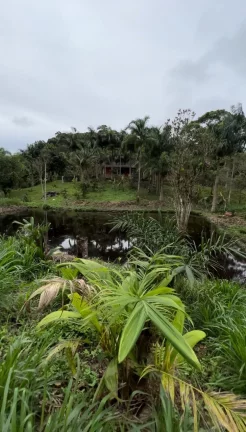 Imagem Sítio em Juquiá