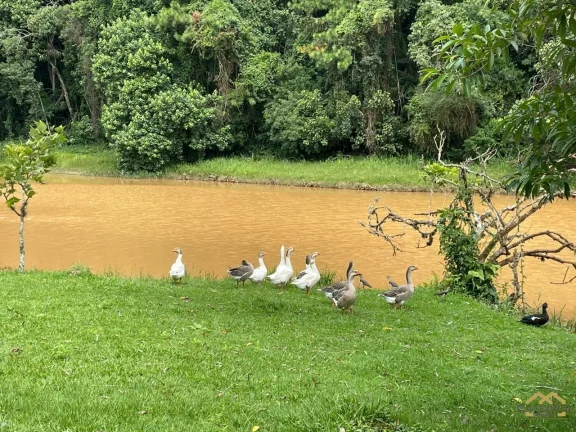 Imagem Terreno a Venda Condomínio Reserva Bom Viver - Chácara Lagoa Branca - Campo Limpo Paulista - SP