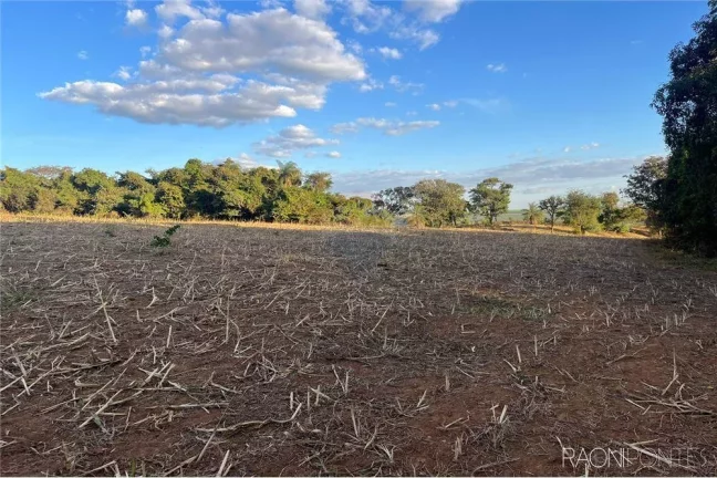 Fazenda à Venda, 710.000 m² em Perdizes - Perdizes