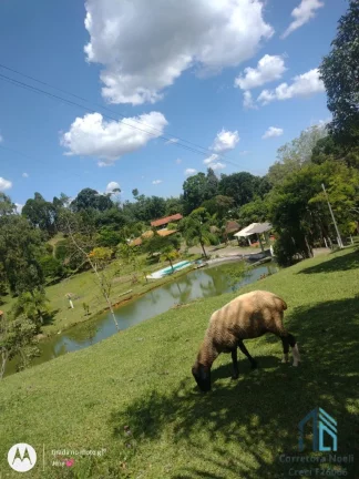 Imagem Chácara poucos metros da BR 116, 04 tanques de peixes, 03 casas, nascentes, Areia Branca dos Assis - Mandirituba PR