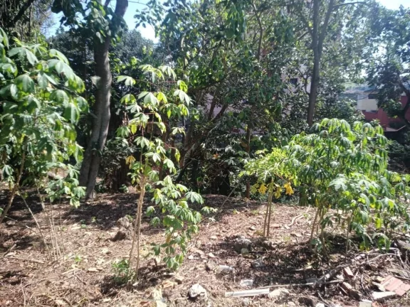 Imagem Terreno à venda, 1078 m² por R$ 5.000.000,00 - Centro - Poá/SP